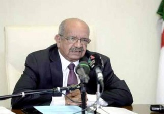 rencontre algerie com