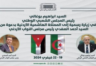 Amman alger sale